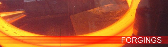 Warm Forgings banner image Warm Forgings banner image