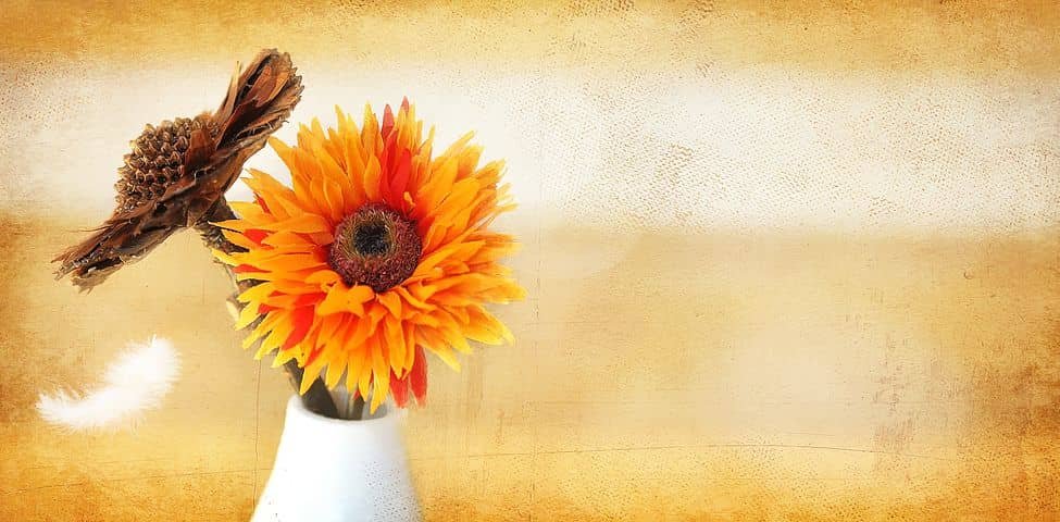 Rinkle Floral banner image