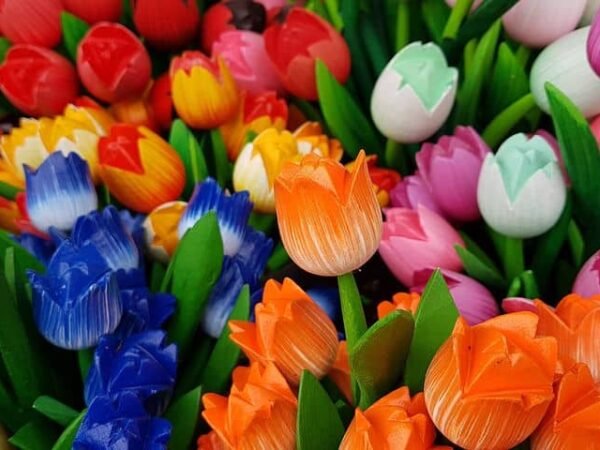 Wooden Tulips 600x450