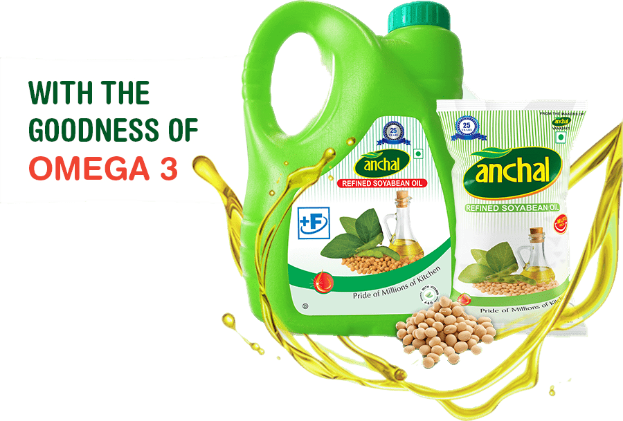 Ajanta Soya Ltd banner image