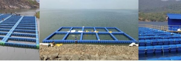 Fish Cage Fish Cage