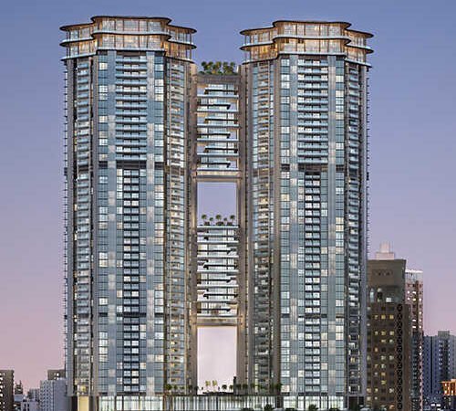 25 South 1 500x450 25 South 1 500x450